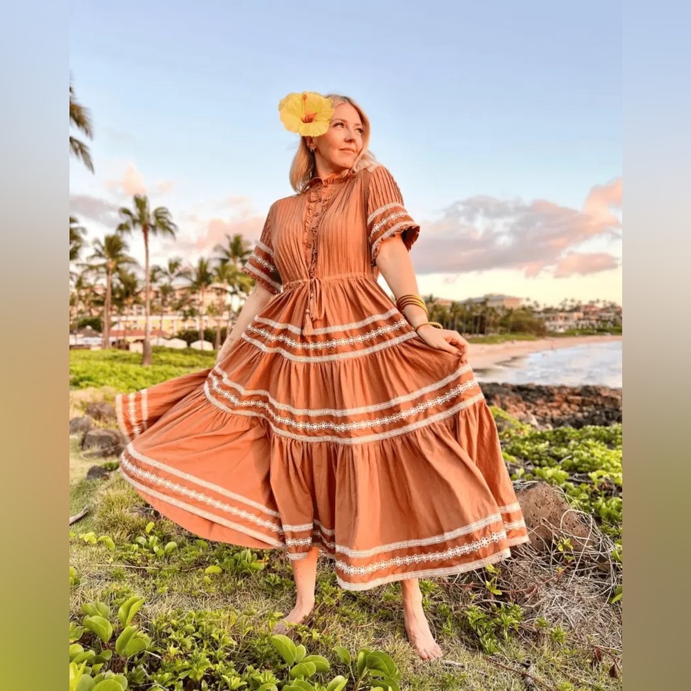 Ivy City Co. Santorini dress in Terracotta, size 1X